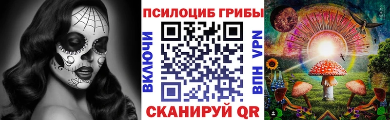 мега ССЫЛКА  Елизово  Псилоцибиновые грибы Magic Shrooms 