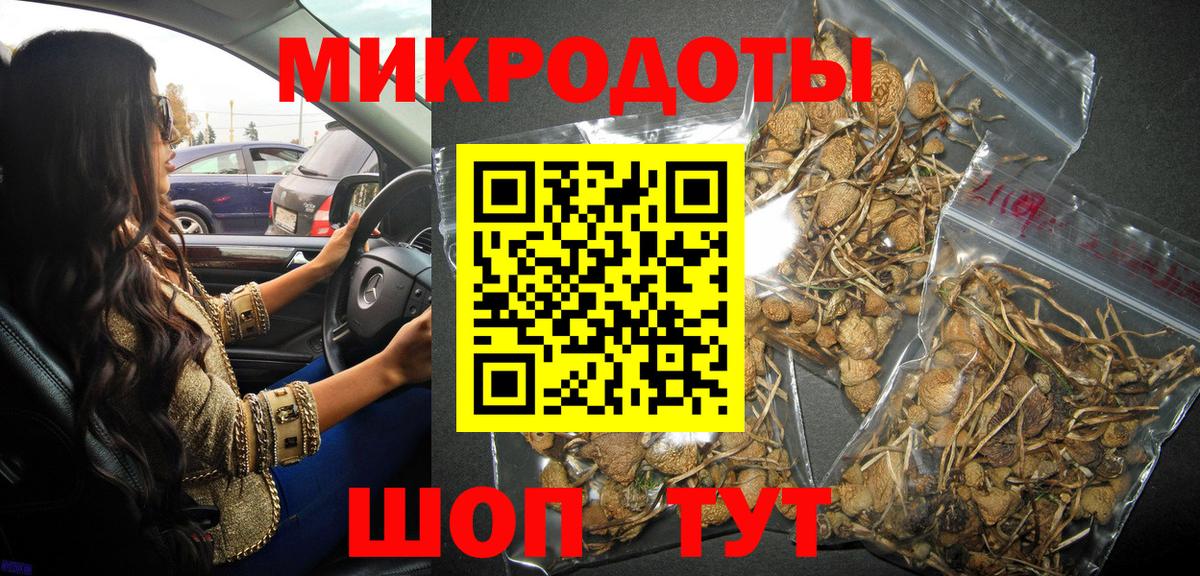 Псилоцибиновые грибы Cubensis  Вход с VPN  Елизово 