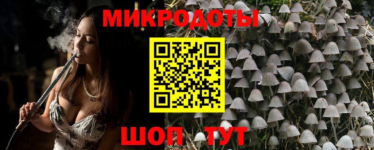 Псилоцибиновые грибы Psilocybe Елизово