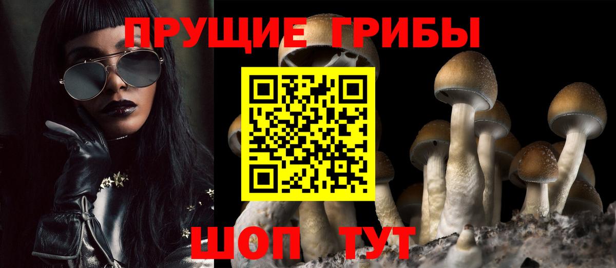 Елизово  Галлюциногенные грибы Psilocybe  цены   Вход с VPN 