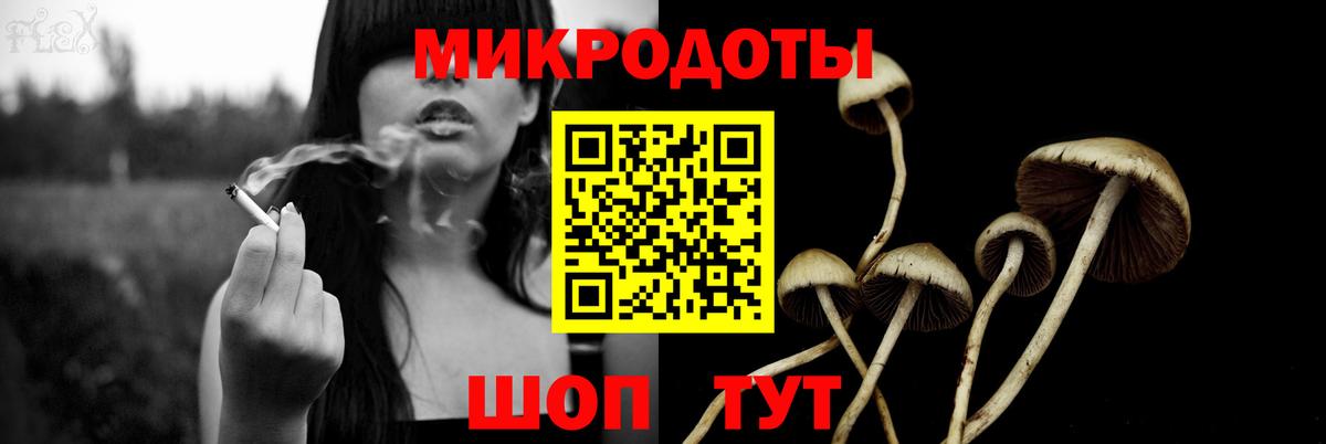 Псилоцибиновые грибы Psilocybe Елизово