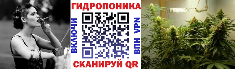 Конопля тримм  кракен ONION  Елизово  дарнет шоп 